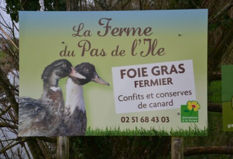 MARCHÉ FERME DU PAS L’ÎLE – VENDREDI 15 AOÛT
