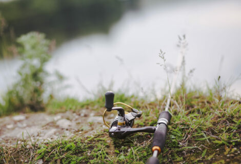 ARRÊTÉ – PÉRIODES D&rsquo;OUVERTURE ET DE FERMETURE DE LA PÊCHE EN EAU DOUCE VENDÉE 2026