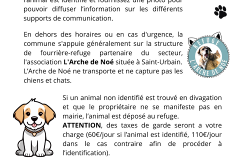 DIVAGATION DES ANIMAUX
