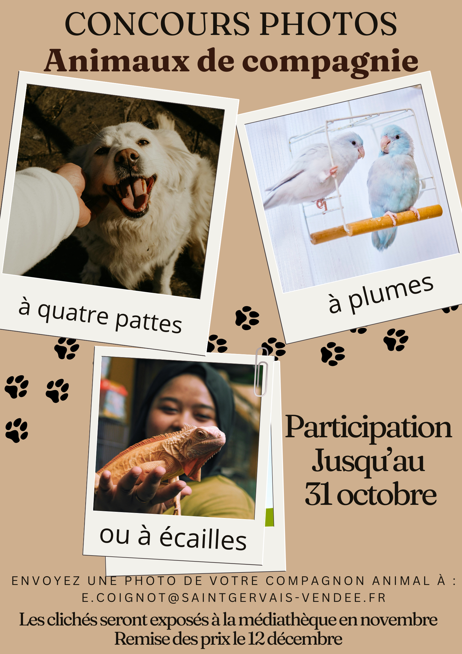 CONCOURS PHOTO – ANIMAUX DE COMPAGNIE CONCOURS PHOTO – ANIMAUX DE COMPAGNIE